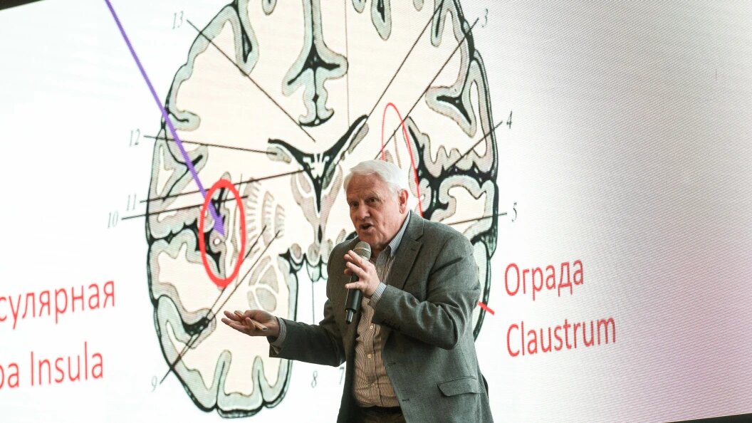    Andrey Titov/Business Online/Globallookpress