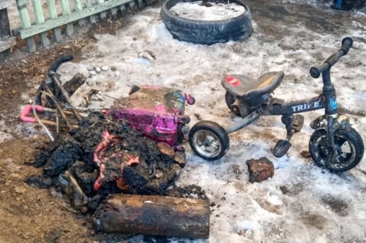    Труп животного, велосипед и чемодан засорили сети на Бутина в Чите