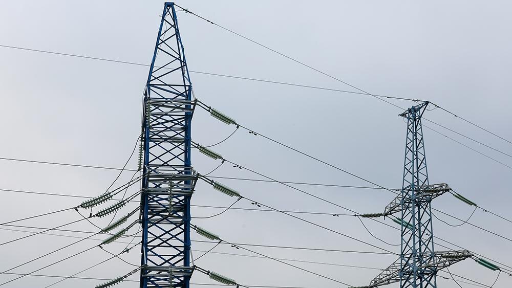    Фото: Belkin Alexey/globallookpress.com