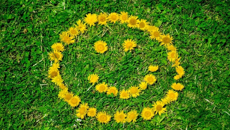 Фото: @boryanam / freepik.com