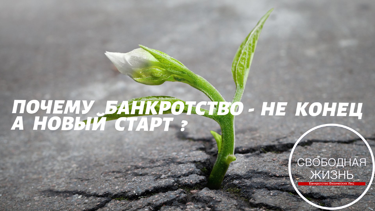 🍀Банкротство — не конец, а новый старт! 🚀

Сложная финансовая ситуация? Не знаете, как справиться с долгами? Мы поможем вам найти выход и начать всё с чистого листа!  

🌟 Что мы предлагаем:  
✅ Полное сопровождение: От первой консультации до завершения процедуры — мы с вами на каждом этапе.  
✅ Максимальная выгода: Наша цель — сохранить Ваши активы и Ваше имущество.
✅ Быстро и прозрачно: Никакой бюрократии и затянутых процессов. Максимально быстро заводим в суд.
✅ Конфиденциальность: Ваша ситуация останется строго между нами.  
✅ Реальные решения: Мы не обещаем невозможного, но находим лучший выход даже в самых сложных случаях.  

💡 Почему нам доверяют?  
- Профессионалы с многолетним опытом.  
- Честность и открытость на всех этапах сотрудничества.  
- Индивидуальный подход к каждому клиенту.  

📌 Не откладывайте решение проблемы на потом!  
Чем раньше вы обратитесь за помощью, тем больше шансов сохранить то, что важно для вас.  

📞 Свяжитесь с нами прямо сейчас:  
8(3843)32-83-83
8(951)583-93-50
📱https://vk.com/club229763280
📱https://ok.ru/group/70000034817263
📱https://dzen.ru/svobodnayajiznbfl

Ваше финансовое благополучие — наша главная цель. Доверьтесь профессионалам!