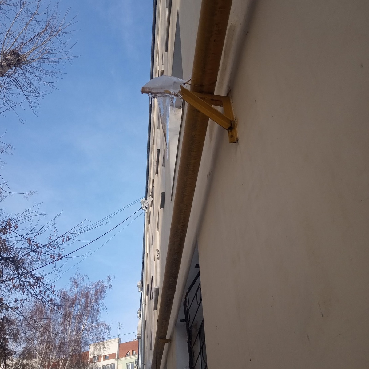    Фото: Екатерина Ряполова