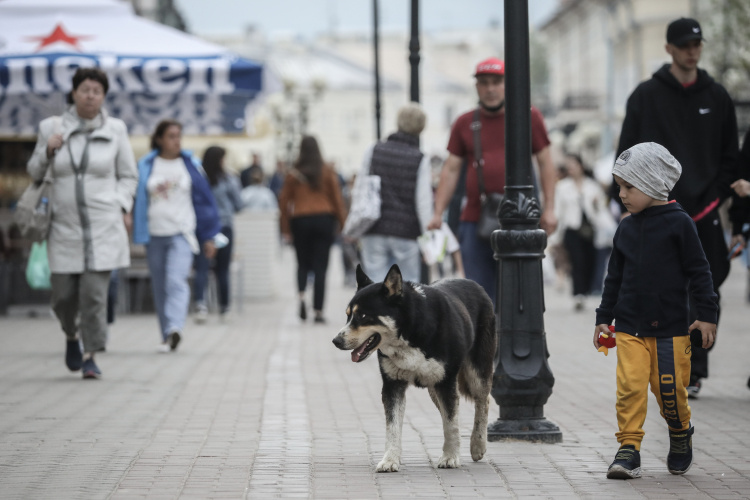    В тяжелое для страны время необходимо оставаться людьми и избегать дополнительной жестокости.   
Фото: «БИЗНЕС Online»