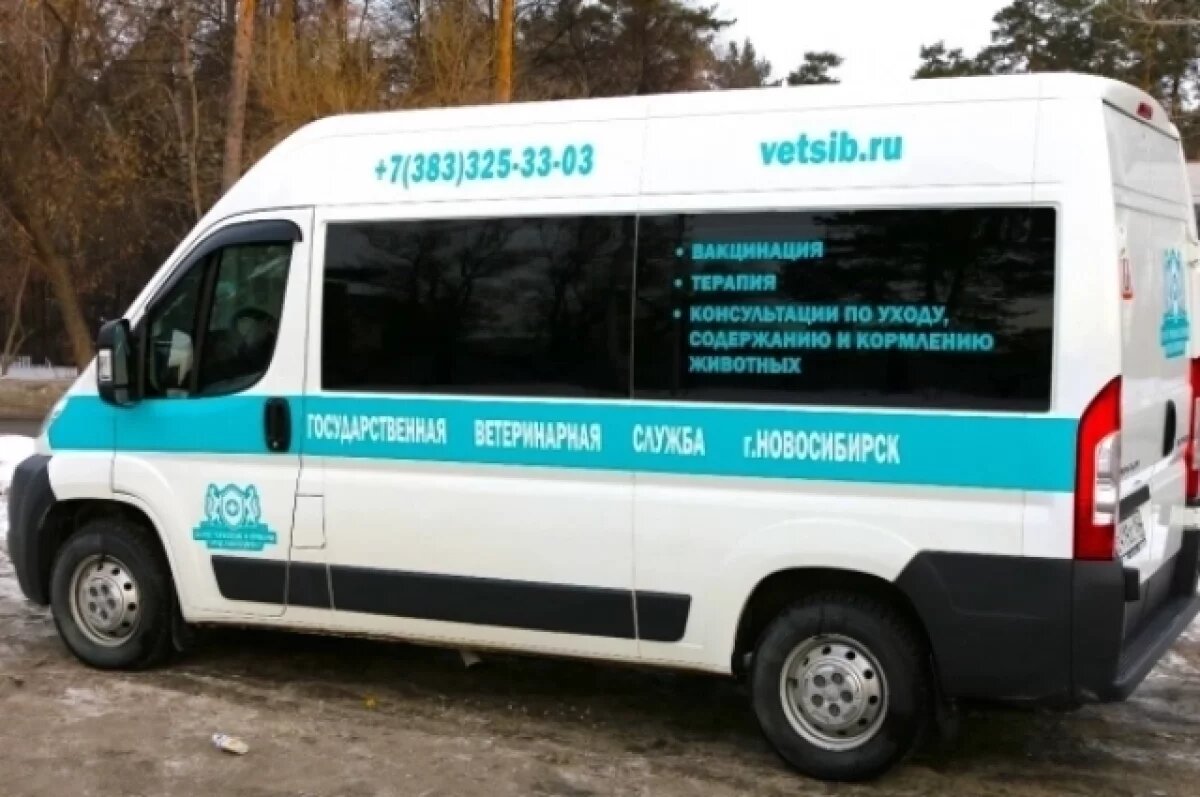    Выездную вакцинацию животных против бешенства проводят в Новосибирске