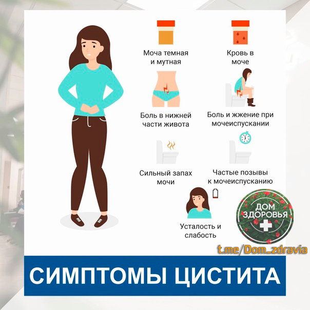 Симптомы цистита