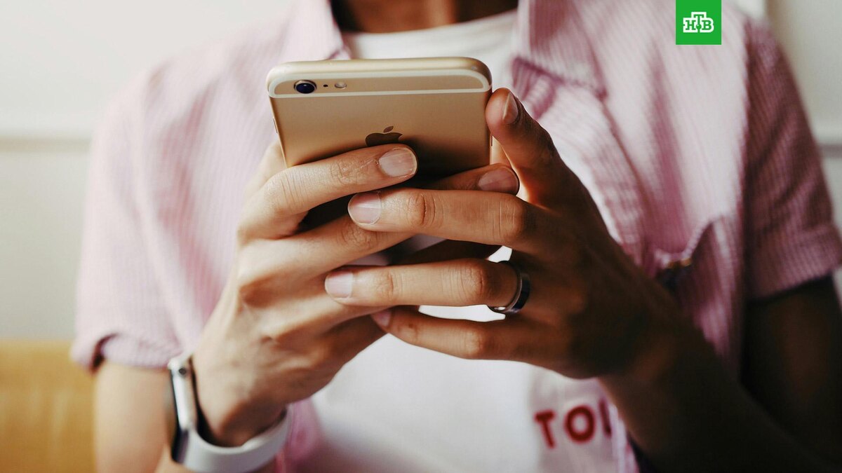    Фото: Patrick Tomasso / unsplash.com