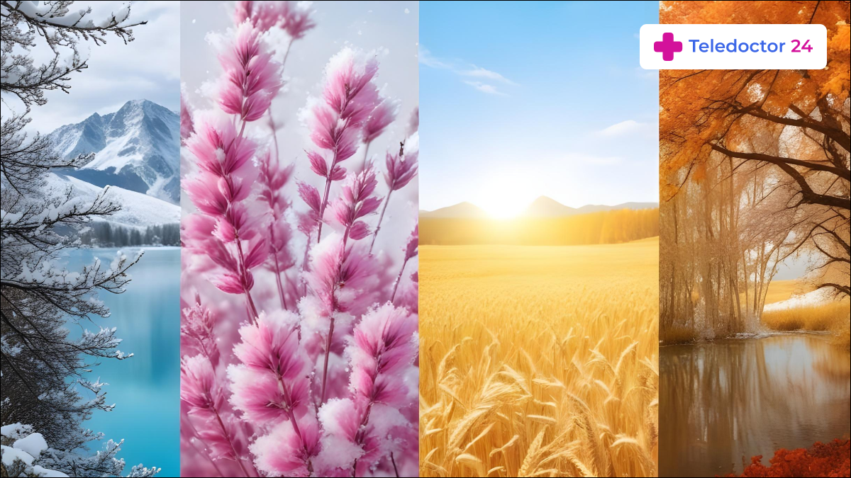 Теледоктор24