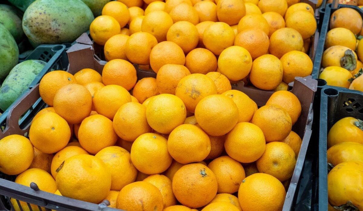     Мандарины. Источник: spbdnevnik.ru Автор фото: Олег Золото