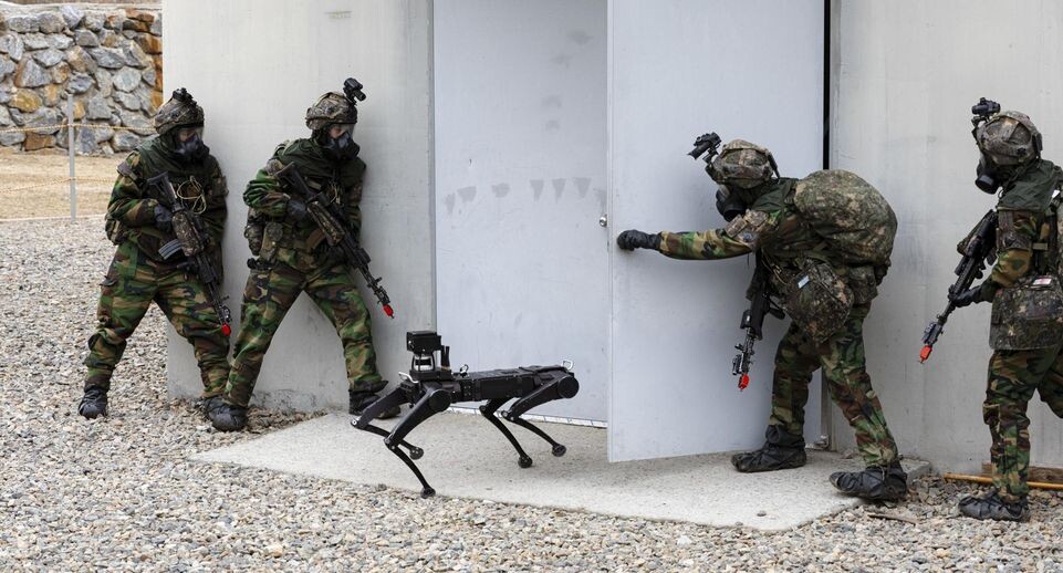    Defense Ministry/Keystone Press Agency / www.globallookpress.com