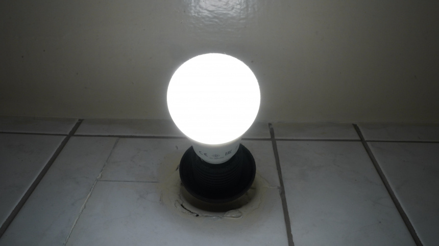    Фото: ИЗВЕСТИЯ/Эдуард Корниенко