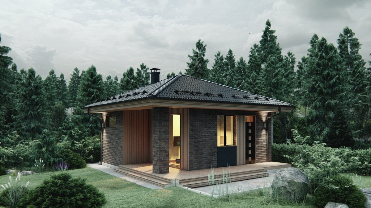 Перспектива Вид 1