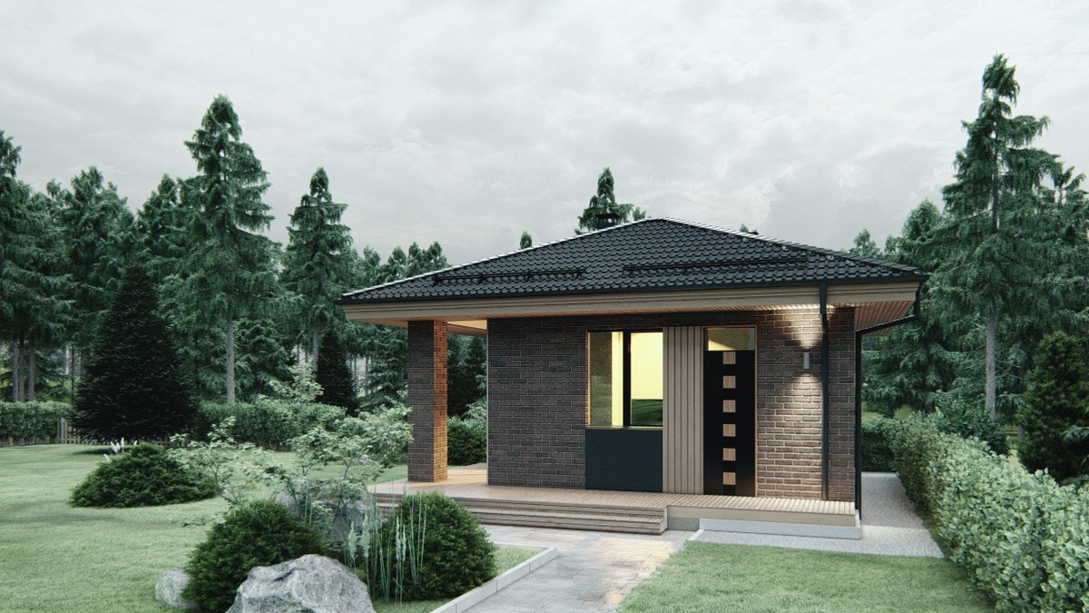 Перспектива Вид 2