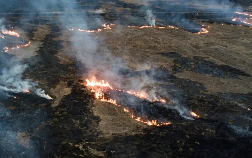     © РИА Новости. Александр Кряжев