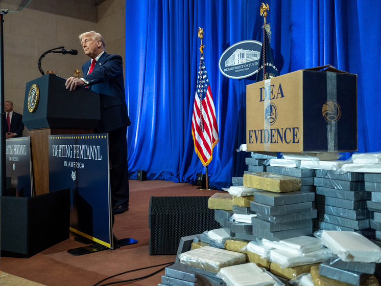 Фото: Global Look Press
