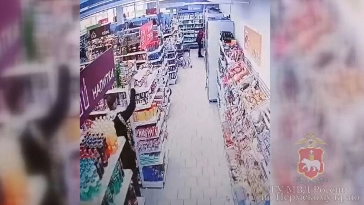     Источник: Скриншот видео МВД