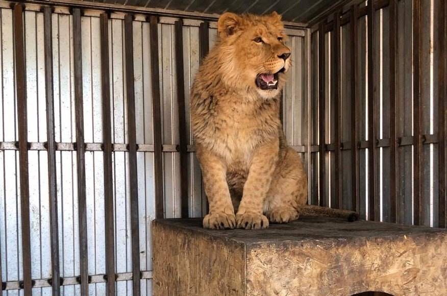    Фото: Росприроднадзор