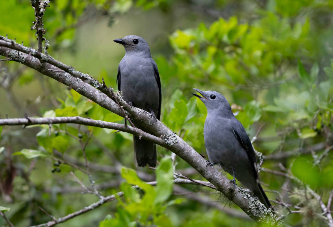 Автор фото-Павел Шуков