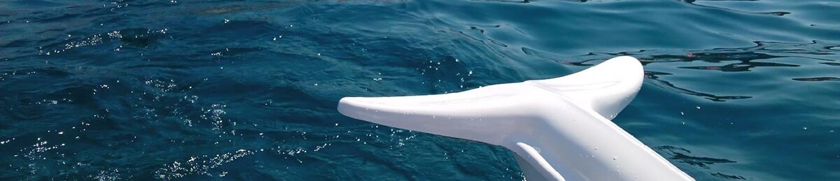    Фото: Дарья Егорова