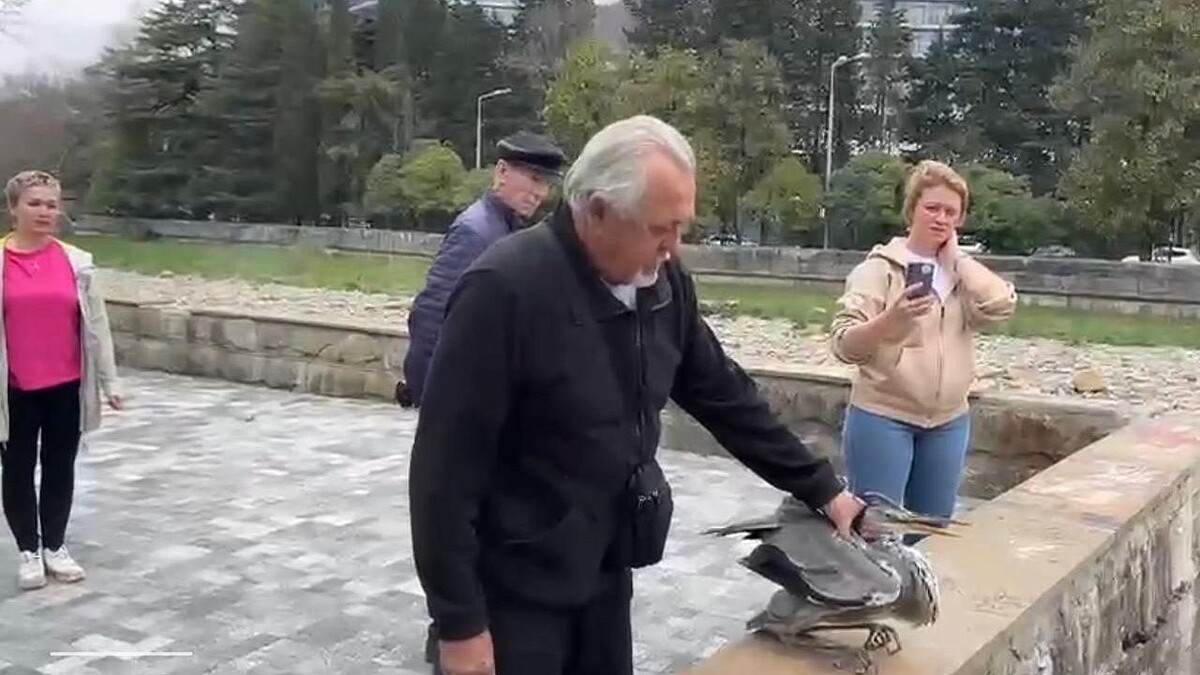    Фото: t.me/sochigeograf