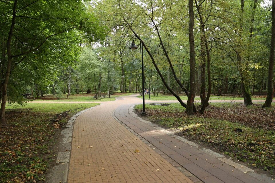 Тишина парковых зон