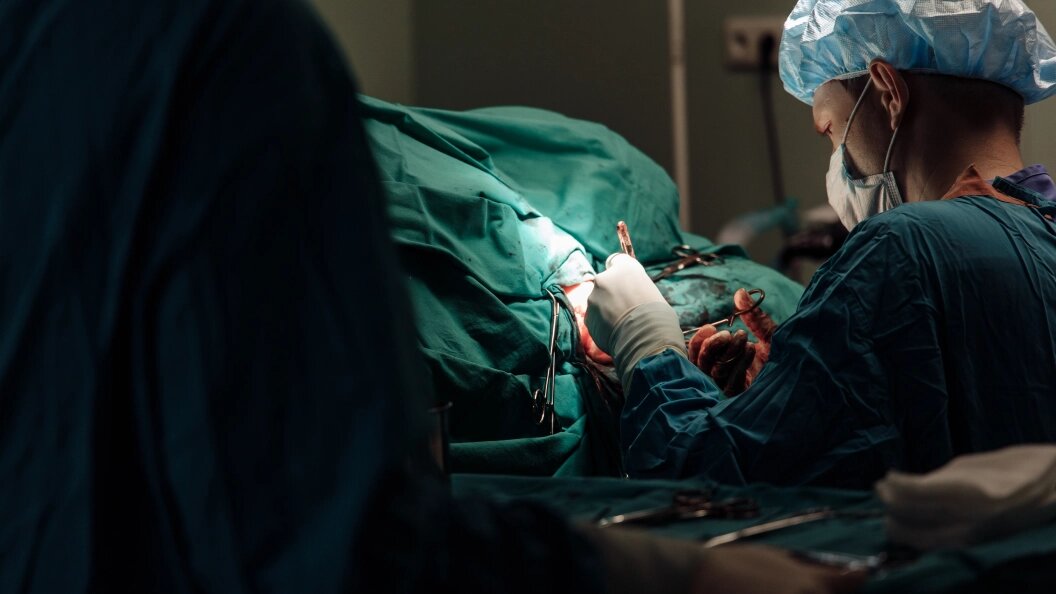    Фото: Niyaz Galiev /Globallookpress