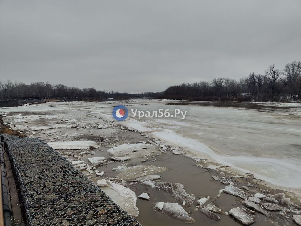    В Оренбурге Урал за сутки прибавил почти полметра, Самара в Новосергиевке выросла сразу на 278 см. Данные по рекам