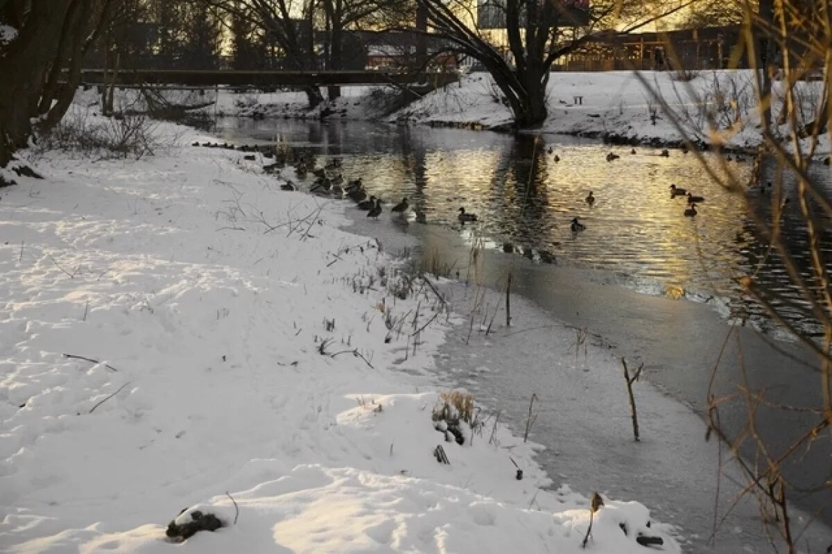    Через российско-казахстанскую границу перестали пропускать людей и машины