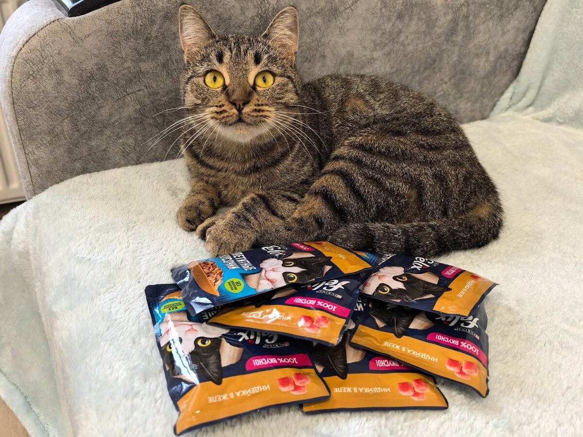 Фото из архива автора