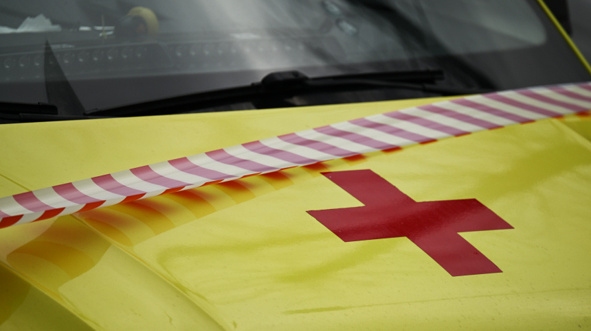    Фото: © РИА Новости/Пелагия Тихонова