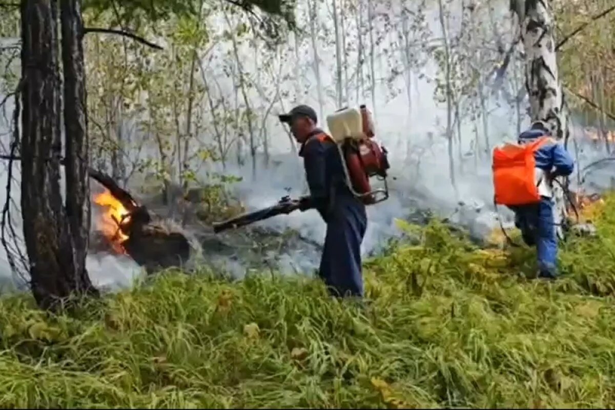    Сезон огня.