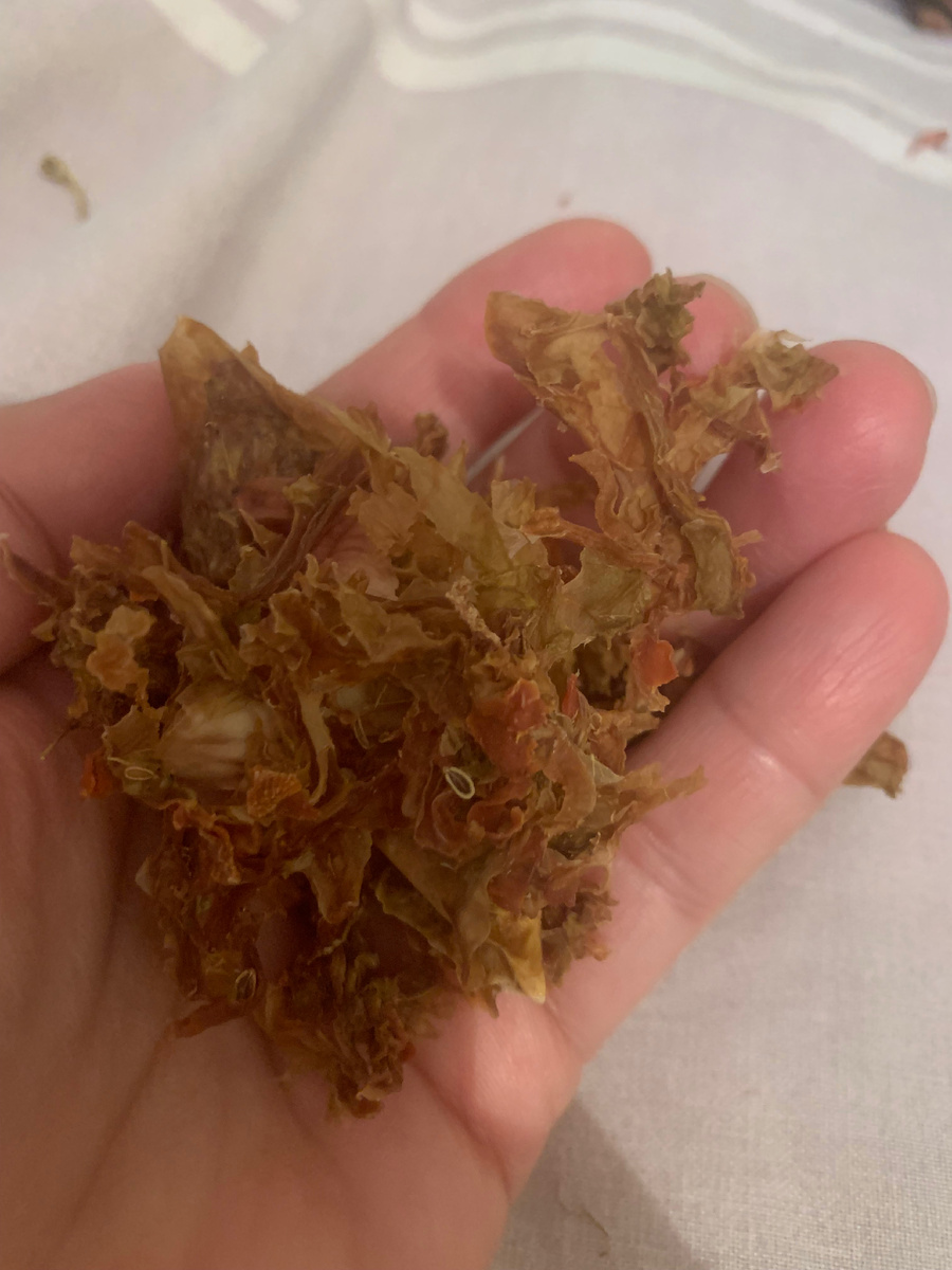 Сушеная квашенная капуста.