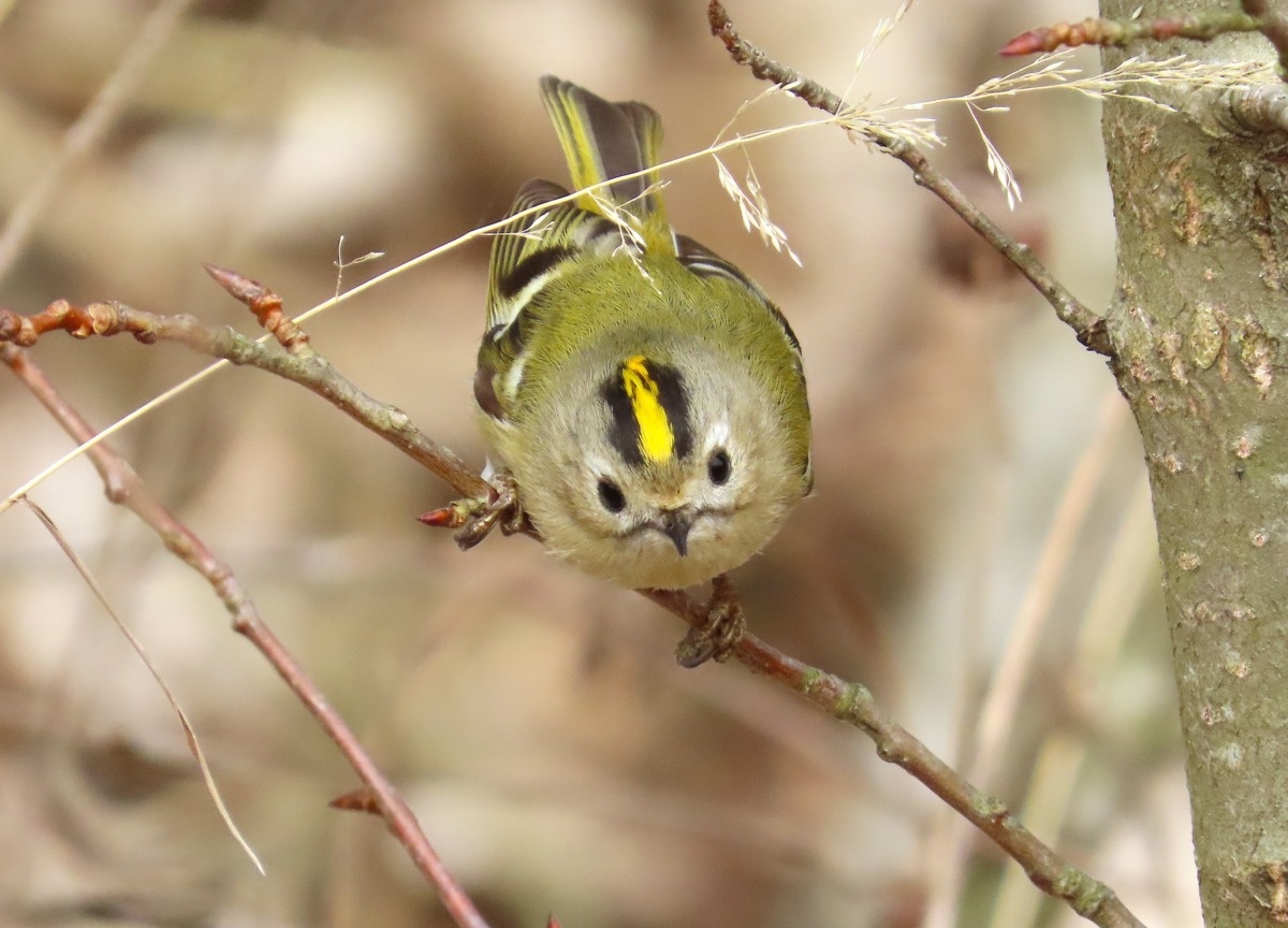 Фото: Ольга Митрофанова