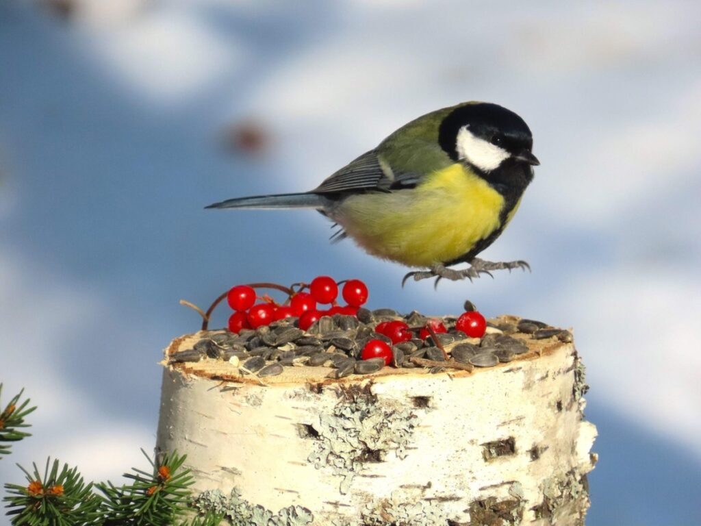 Фото: Ольга Митрофанова