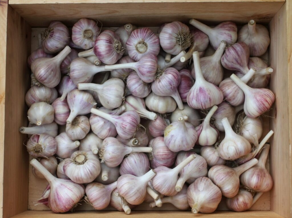 Фото: Яндекс фото