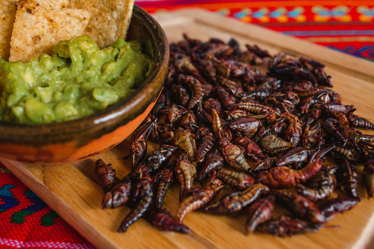    Кузнечики и гуакамоле