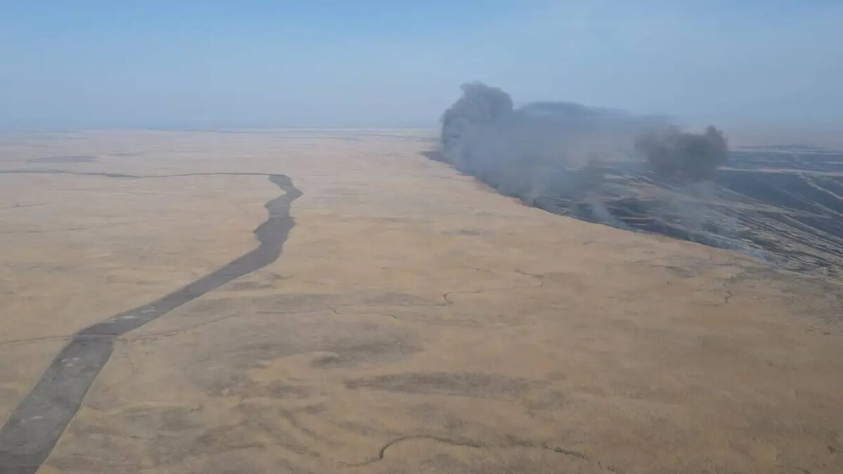    © Пресс-служба Астраханского биосферного заповедника