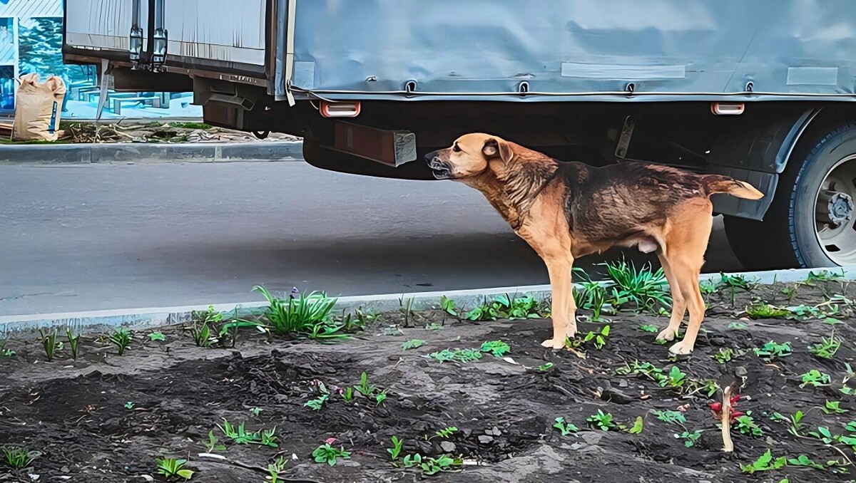     Источник: 1MI