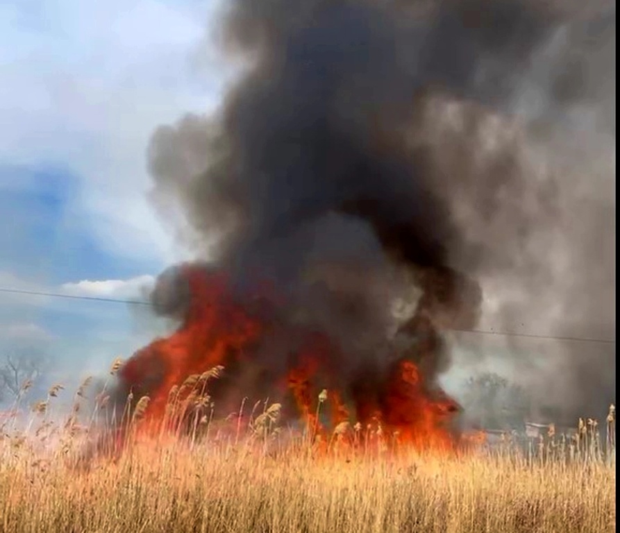 Камыш вспыхнул мгновенно