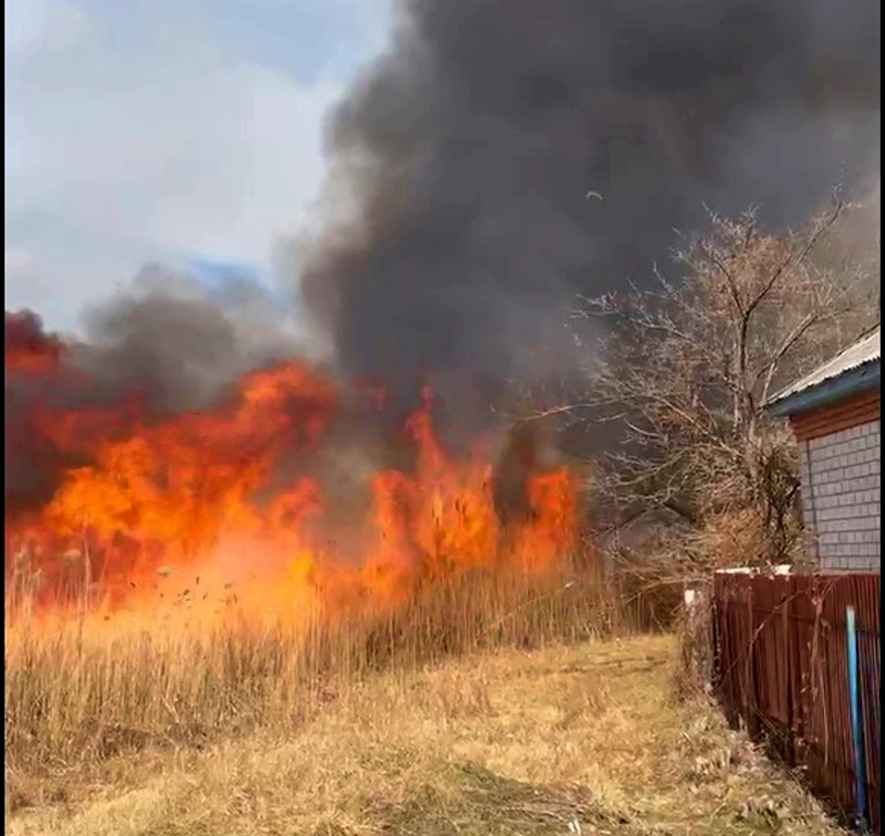 Огонь за считанные минуты добрался до нашего участка