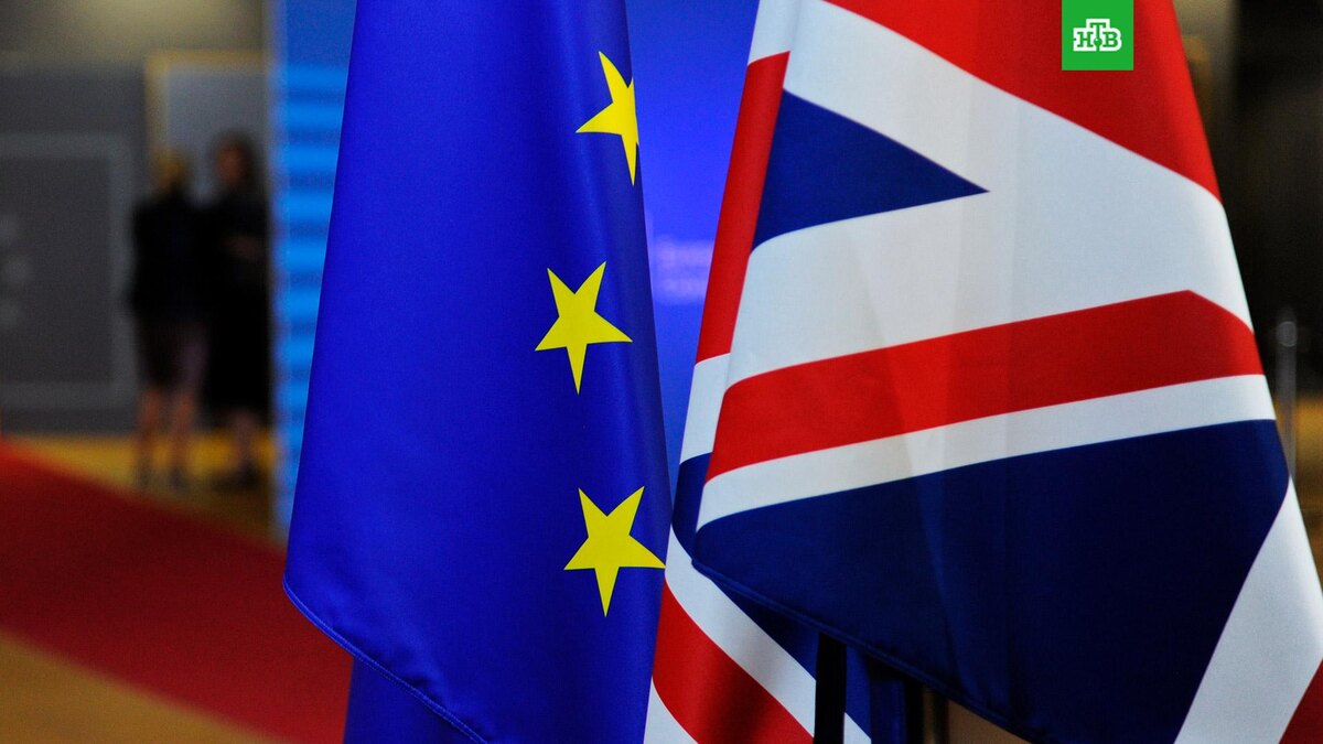    Фото: РИА Новости © 2025, Алексей Витвицкий