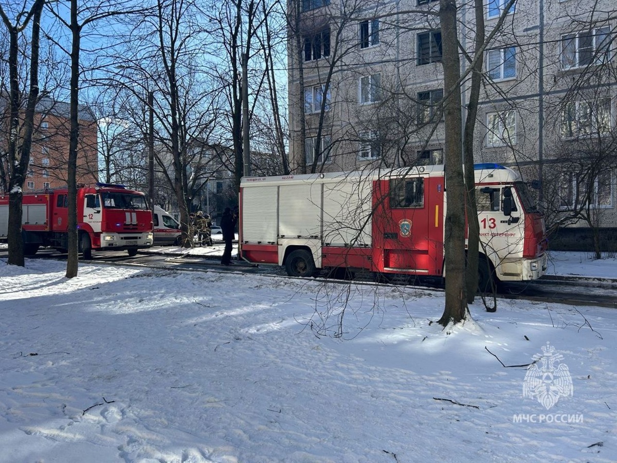    Пожар в доме на Замшиной улице. Фото: ГУ МЧС РФ по Петербургу