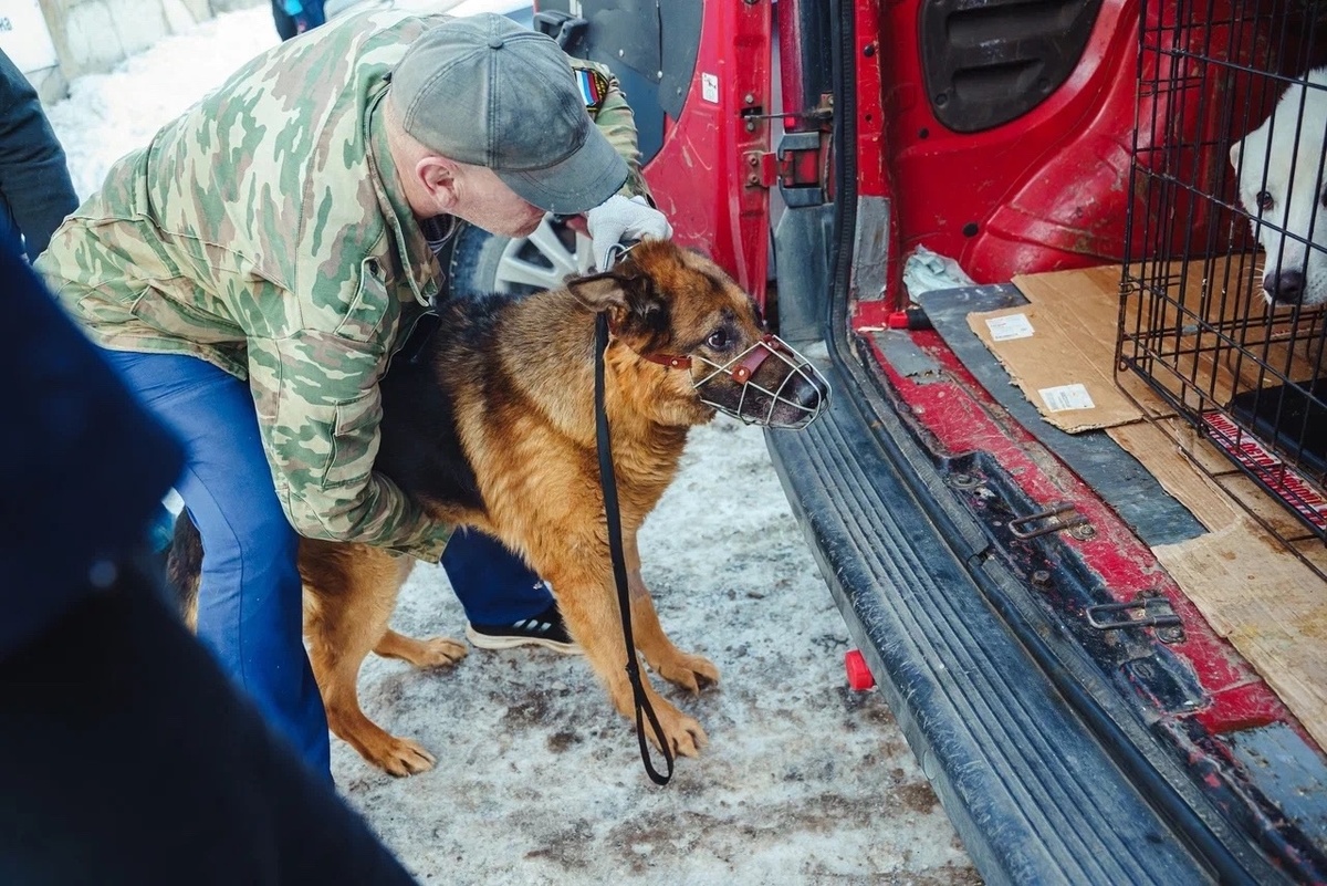  Он никому, кроме нас с вами, друзья, не нужен. Мы просим помощи!