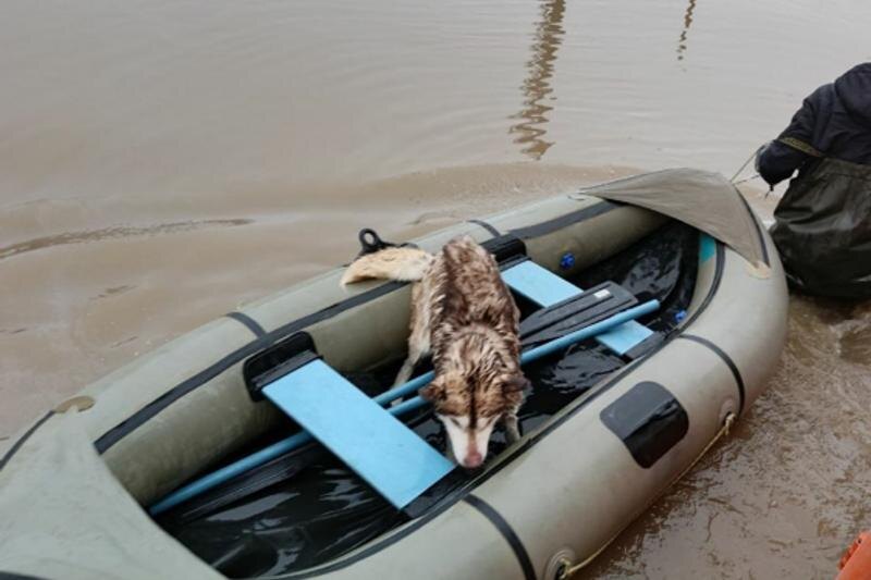    ГУ МЧС по Челябинской области