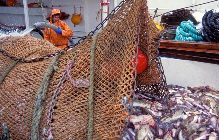    Steven J. Kazlowski/Steve Kazlowski / DanitaDelimont/Global Look Press