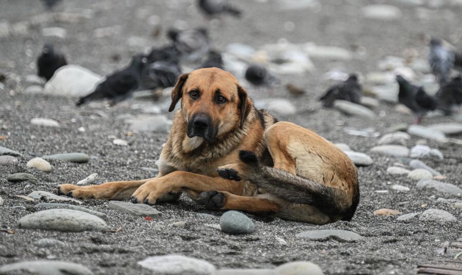     / Источник: © Рамиль Ситдиков/РИА Новости