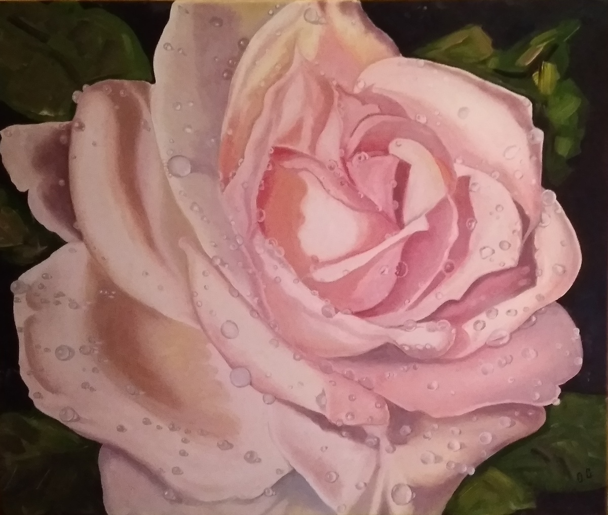 Картина "Роза" в стиле гиперреализм, масляными красками "Гамма" серии "Сонет"на холсте с подрамником, размером  60х60см, художник: Георгиева О.П.