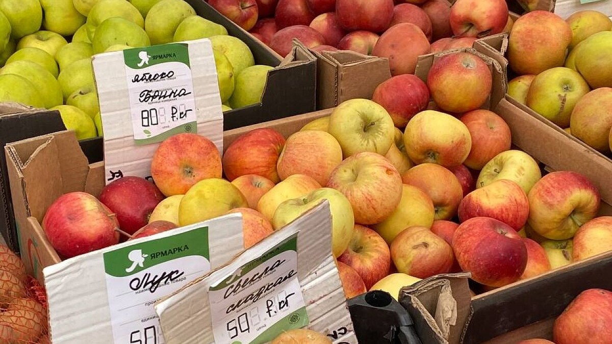    Фото: телеканал «Краснодар»