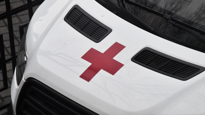    Фото: © РИА Новости/Наталья Селиверстова