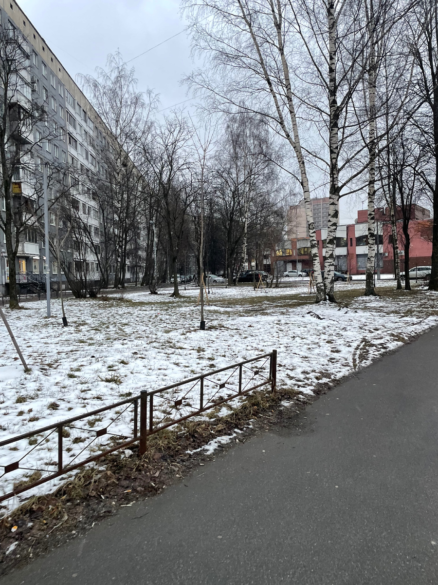 Пока шла- «наслаждалась» весной - снег свежий, сегодняшний, ветер холодный в лицо, серое небо. Красота.
