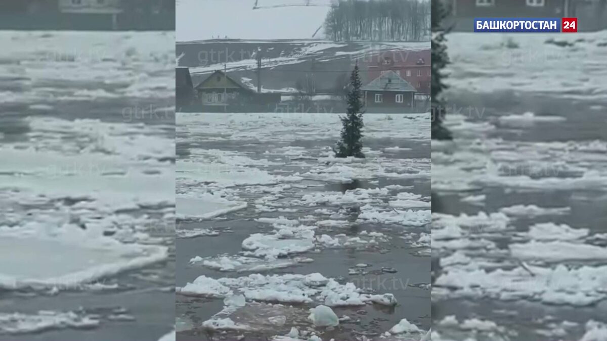    Плывет и не падает: елку посреди реки во время ледохода сняли на видео в Башкортостане